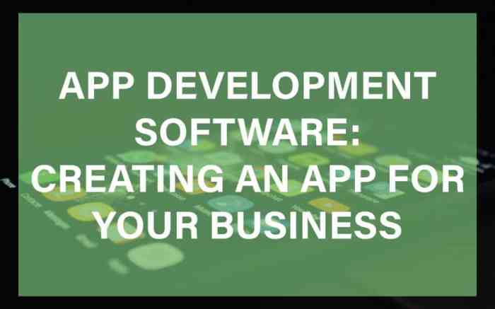 Software & App Development