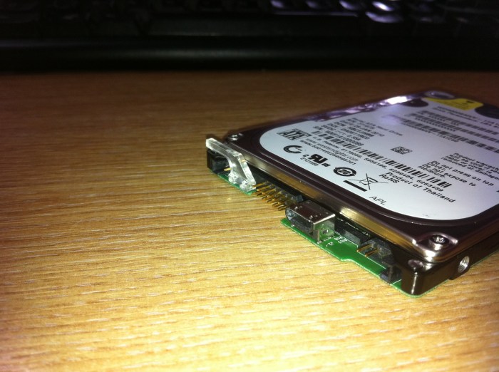 Western digital technologies driver
