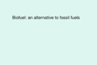 Are Biofuels a Viable Alternative to Gasoline?