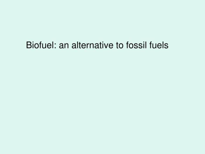 Are Biofuels a Viable Alternative to Gasoline?